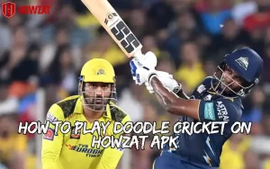 doodle cricket