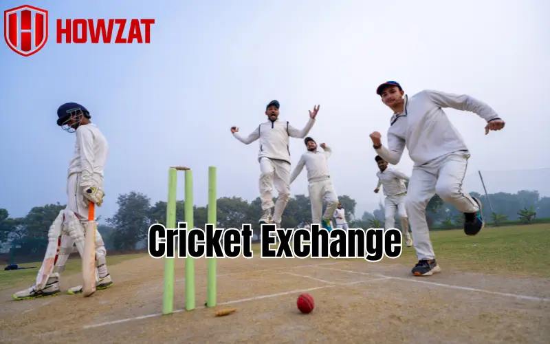 cricket exchange